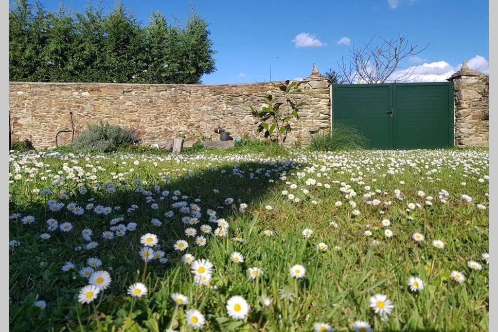 Estudio Pajar Rural Con Bonito Jardin - Los Gayoles Rural Castropol Exteriér fotografie